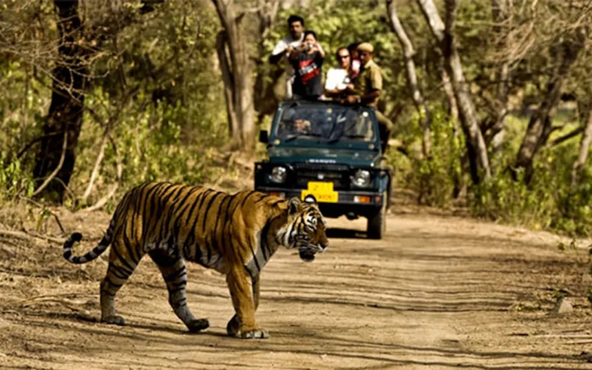 Rajaji National Park